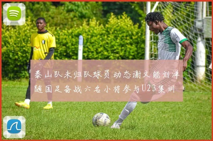 泰山队未归队球员动态谢文能刘洋随国足备战六名小将参与U23集训